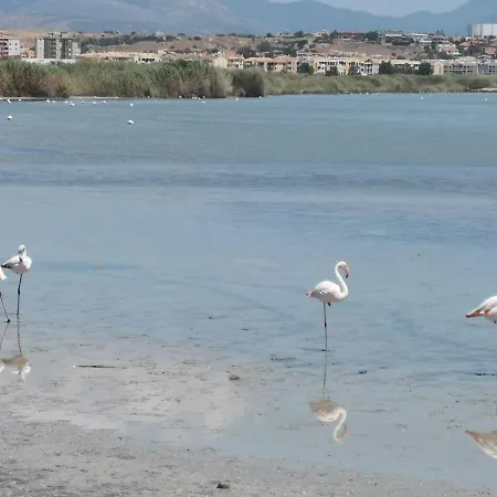 Pensión S'alba Noa 4*