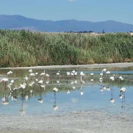 S'alba Noa בית הארחה 4*