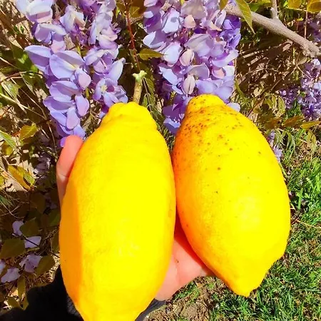 S'alba Noa 게스트하우스