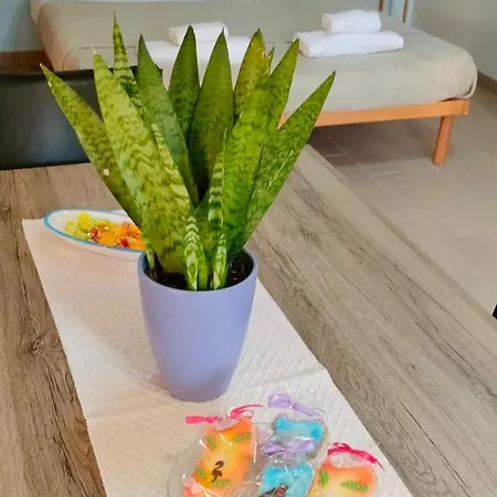 게스트하우스 S'alba Noa