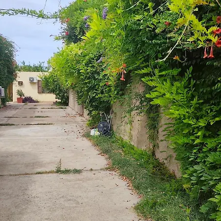 Πανσιόν S'alba Noa 4*